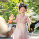 萌乎蝶夢漢服女童2025新款夏季兒童寶寶國風(fēng)公主裙超仙襦裙粉色  120