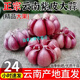 桃西村 云南大理干紫皮大蒜頭新鮮多瓣蒜紅蒜土香蒜農(nóng)家可種植干蒜疏菜 1500g 干蒜頭(果徑3-4厘米）