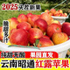 25年新果云南昭通發(fā)貨紅露蘋果水果新鮮丑蘋果冰糖心應(yīng)當季紅富士 75-80mm中果 5斤凈重