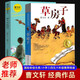 草房子 那人兒在何方（2冊(cè)）曹文軒純美小說集 金色童年系列7-8-9-10-12歲四五六年級(jí)必讀校園青少年小學(xué)生課外經(jīng)典閱讀兒童文學(xué)