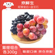 京鮮生 妮娜皇后300g+藍(lán)寶石300g 葡萄提子 生鮮水果 時(shí)令嘗鮮