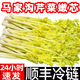 馬家溝芹菜芯新鮮芹菜心空心芹菜大葉黃精品嫩芯西芹鮑芹蔬菜 4斤