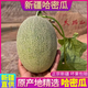 哈密瓜9斤新疆當(dāng)季新鮮水果一整箱現(xiàn)貨現(xiàn)摘蜜瓜脆甜香瓜西州網(wǎng)紋L 9斤裝【凈重8-9斤】【2-5個(gè)】