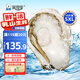 貝司令【源頭直發(fā)】鮮活乳山生蠔牡蠣貝類燒烤5XL號(hào)凈重10斤 海鮮水產(chǎn)