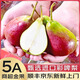 優(yōu)味集【順豐JD】南非彩啤梨水果智利進(jìn)口香梨高端孕婦梨子脆甜多汁鮮果 500g凈重裝（產(chǎn)地大果） 商超A+級(jí)大果