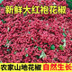 2025年貴州畢節(jié)特產(chǎn)特麻紅花椒粒新鮮濕花椒正宗大紅椒特麻樹椒 500g