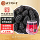 同仁堂（TRT）特級黑桑葚干果干即食無(wú)農殘滋補無(wú)熏硫桑椹干250g/罐