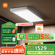 米家智能晾衣機2 Pro 【國家補貼】電動晾衣架3D曲面穹頂燈隱形小米