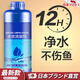 AILUKI日本魚(yú)缸凈水劑一滴立清特清水質(zhì)清澈澄凈化水清潔劑凈水王硝化菌 魚(yú)缸水質(zhì)清澈260ML_瓶