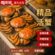 【活蟹】蟹爽爽六月黃鮮活大閘蟹去繩足重2.0-2.3兩10只超大螃蟹禮盒京東超市源頭直發(fā)