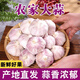 春平賦新鮮干大蒜多瓣蒜頭泡蒜糖醋蒜臘八蒜河南產(chǎn)地直發(fā) 2斤含箱1000g*中大果
