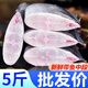 冰鮮部族帶魚段中段 新鮮冷凍海鮮 去頭去尾切段東海帶魚刀魚凈重5斤 帶魚段【5斤實惠裝】段寬4-5cm
