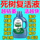 大樹生根復(fù)活液枯樹發(fā)根木移栽嫁接死苗爛根吊針液植物扦插生根劑 單瓶裝【不劃算】