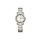 精工（SEIKO）5號系列休閑 30米防水 機械機芯 不銹鋼表帶 日韓表 女表 白色表 間金白盤