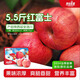 青怡青怡陜西洛川蘋果紅富士 新鮮水果禮盒 源頭產(chǎn)地包郵直發(fā)量販 5.5斤【家庭裝】單果210g+
