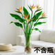 愛(ài)你一萬(wàn)年天堂鳥(niǎo)無(wú)土純水培植物室內(nèi)好養(yǎng)綠植水培水養(yǎng)易活桌面綠植吸除甲醛 A級(jí) 水培天堂鳥(niǎo) 50-60厘米 3顆