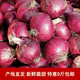 【新鮮現(xiàn)挖】當季紫皮紅洋蔥深紫色生吃水果洋蔥蔬菜批發(fā)包郵 5斤現(xiàn)挖新鮮紫皮洋蔥