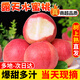 探味君 山西水蜜桃 應當季時(shí)令水果脆甜紅毛軟桃子整箱 生鮮 凈重8.5-9斤 【大果】個(gè)大飽滿(mǎn)