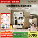 Brandt【國家補貼】法國白朗金萃師X300家用咖啡機半自動意式小型商用咖啡機 家商兩用咖啡機 子母雙鍋爐 【專業(yè)套裝】平刀研磨+家商用咖啡機