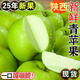 正宗陜西青蘋(píng)果9斤當季時(shí)令水果丑蘋(píng)果富士綠色不打蠟王林果整箱Y 甄選5斤