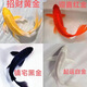 金魚(yú)活體觀(guān)賞魚(yú)錦鯉草金魚(yú)冷水魚(yú)黑金錦鯉黃金錦鯉白金錦鯉淡水魚(yú) 6-8cm黑+白+黃+紅各1條共4條