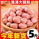 2024年新花生米現(xiàn)剝新貨精選無殼白沙花生米粉紅皮新鮮生花生去殼 今年新鮮帶殼花生 5斤