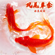 長尾大紅草金魚魚苗冷水魚好養(yǎng)耐活觀賞魚淡水招財錦鯉錦鯽紅草金 6-8厘米紅草3條（包活到手）