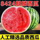 晟容果蔬麒麟西瓜新鮮云南西瓜時令應(yīng)季水果甜瓜新鮮現(xiàn)摘清甜可口現(xiàn)貨速發(fā) 凈重3-4斤（巴掌果嘗鮮裝）