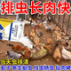 雞打蟲藥全蟲凈雞鴨鵝驅(qū)蟲藥腸蟲清線蟲球蟲虱子跳蚤體內(nèi)外蟲全清 1袋【雞內(nèi)外驅(qū)蟲】