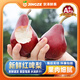 沐瑾紅啤梨梨子新鮮水果太婆啤酒紅皮梨軟糯當(dāng)季老人寶寶輔食孕婦水果 4.5斤-單果100g+丨含箱-普運(yùn) 新鮮速發(fā)