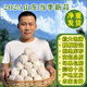 山東農(nóng)家5斤新鮮干大蒜頭種子當(dāng)季紫白皮蒜種多瓣種蒜臘八蒜凈蒜 凈重560克5.5-6.0厘米特大果 小網(wǎng)兜精裝無泥無土剪掉蒜根蒜把