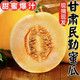 遠洋瑞興民勤館甘肅沙漠民勤蜜瓜 現摘當季新鮮水果頭茬黃河蜜瓜整箱 金紅寶蜜瓜4-5斤【老顧客推薦】