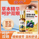 葵花葉黃素眼周按摩精油30ml緩解視力疲勞兒童學(xué)生近視護(hù)眼神器上班族視力模糊 一盒活動(dòng)裝