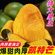 黃六爺四川攀枝花凱特芒青皮大芒果新鮮水果孕婦整箱包郵特大青忙果現(xiàn)季 【中果】凱特芒3斤單果300g+