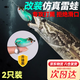 雷蛙假餌路亞餌青蛙釣黑魚假餌重草區(qū)改裝黑魚專殺打黑軟蟲 【7g/2只】綠背金點