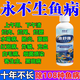 普欣諾魚(yú)藥水族箱魚(yú)缸消毒殺菌觀賞魚(yú)錦鯉白點(diǎn)爛身爛尾蒙鯉魚(yú)病專用藥 一瓶魚(yú)舒康【魚(yú)病專用】 水霉病金魚(yú)缸萬(wàn)能藥非亞甲基藍(lán)