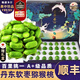 橙市碼頭丹東軟棗獼猴桃【順豐多地隔日達(dá)】綠心奇異莓水果生鮮奇異果禮盒 2斤禮盒特大果17-30g