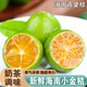 南步海南小青金桔 新鮮小青柑橘青檸檬小金橘奶茶專用榨汁黃青桔水果 小金桔 5斤 精選果