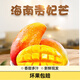 可香蜜貴妃芒海南芒果新鮮水果現(xiàn)摘現(xiàn)發(fā)熱帶海南貴妃芒果 海南貴妃芒7斤大果