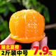 果果牛秭歸湖北夏橙 當(dāng)季新鮮水果手剝酸甜橙子高山冰糖臍血多汁 可選 2斤裝中號(hào)(凈果約1.7斤)