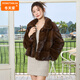 DONGTIANJIA2025新款進(jìn)口貂皮大衣女款整貂短款方領(lǐng)水貂裘皮外套美拉德色橫排 咖啡色 L 100-120斤