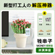 藝萱辦公室桌面盆栽霧凇綠植室內(nèi)植物放輕松解壓情緒四季好養(yǎng)凈化空氣 【桌面聚財串】錢串子+奶油冰淇淋盆+掛簽+黃金沙 帶盆栽好