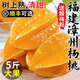 正宗福建漳州甜楊桃5斤新鮮水果當(dāng)季現(xiàn)摘紅龍楊桃五角星楊桃整箱L 3斤裝