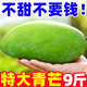 廣西特大青芒果9斤新鮮水果越南大青芒果熱帶純甜金煌芒整箱包郵 3斤 【中果】單果150g+丨不甜包賠