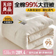 無(wú)印良品A類99%大豆蛋白被子 全棉雙層紗春秋被四季空調(diào)被芯 200*230cm5斤
