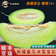 傾睦新疆哈蜜瓜冰雪皇后【順豐空運】軟糯香甜多汁老漢瓜新鮮水果送禮 10斤【2-3個】禮盒裝