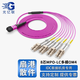 光億聯(lián) 光纖跳線MPO-MPO-LC萬兆多模SENKO MPO母頭B極性LSZH主干跳線 40G/100G光模塊用 8芯(OM4)MPO-LC  3米