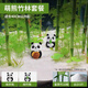 臨雅魚缸水培植物富貴竹竹林造景新手水草缸四季常綠水養(yǎng)盆栽水生綠植 萌熊竹林套餐(30缸推薦)