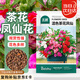 北蔬 鳳仙花種子混色大花指甲花四季花籽 重瓣混色茶花鳳仙種子1000粒