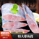 特大段野生帶魚段海鮮水產(chǎn)刀魚整箱帶魚無冰新鮮海捕活速凍帶魚 8斤【精選無冰大帶魚段】